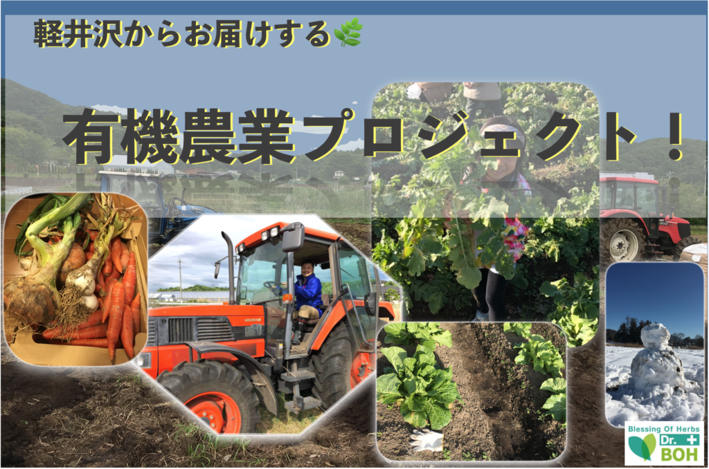 2020年畑支援プロジェクト